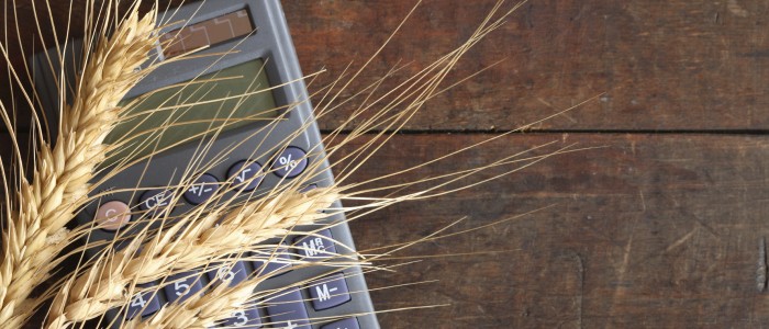 WheatCalculator_iStock_000016180847Large